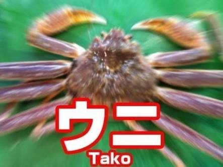 ʚ˙꒳˙ɞ⸒⸒ナガミ