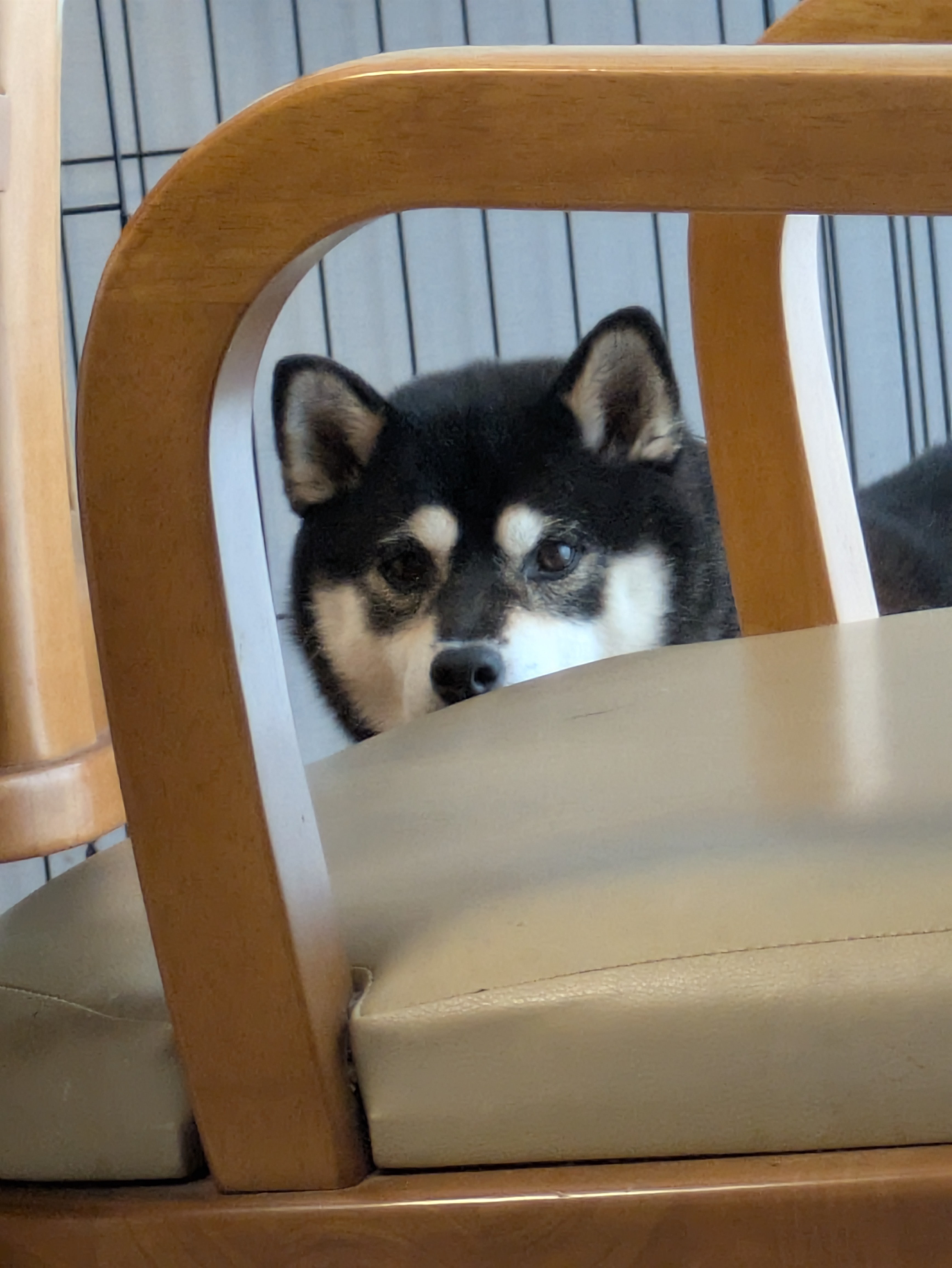 TARAKOしゃん(  ¯꒳¯ᐢ)🍫☊