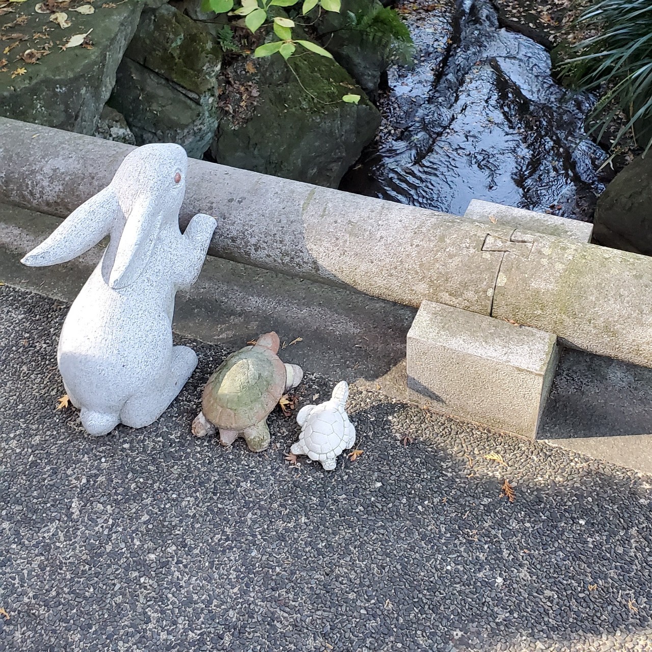 (;_;)/~~~サヨナラ