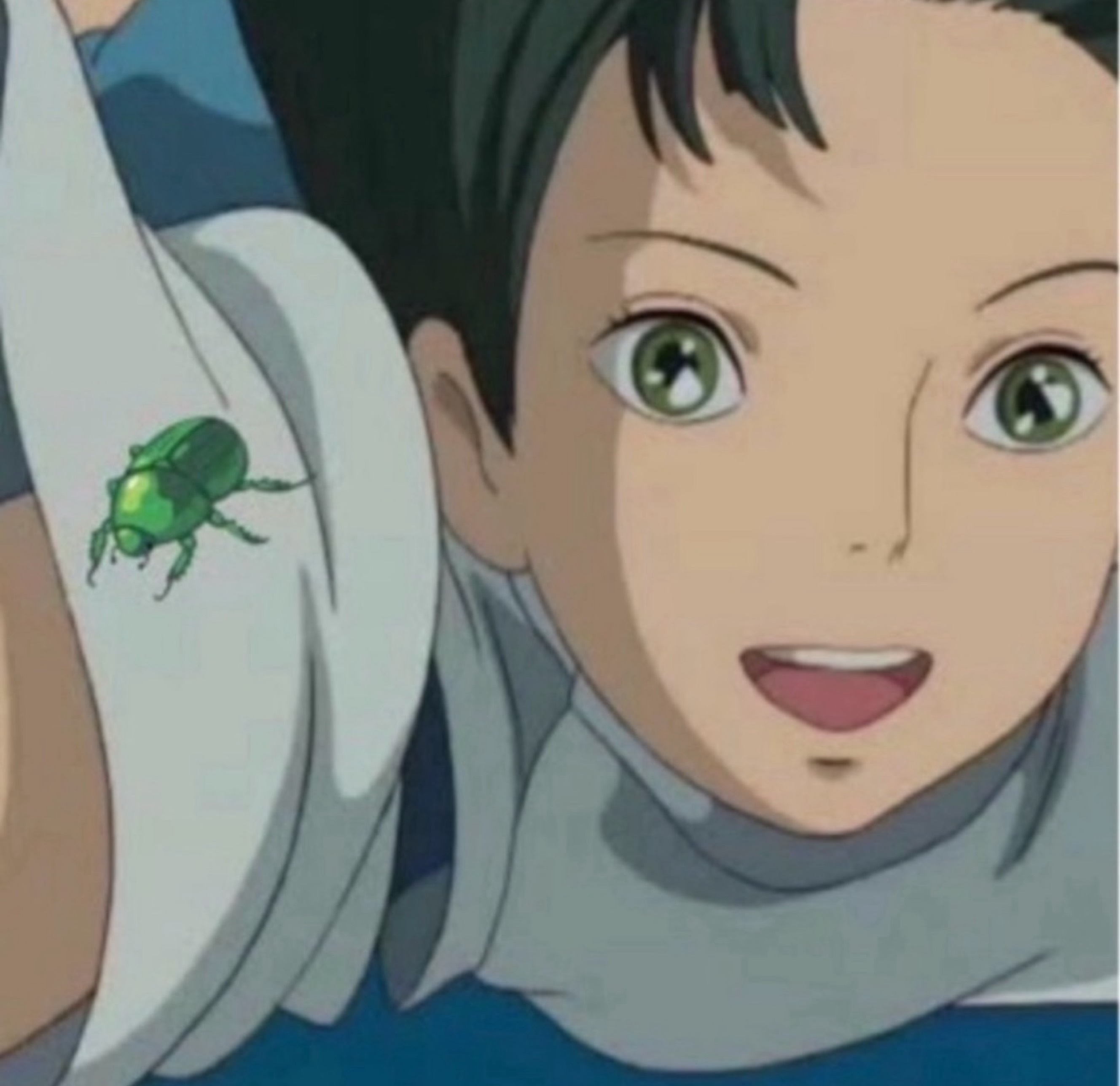 ミギカタニコガネムシ