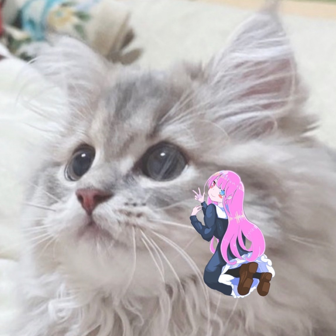 あっこちゃん。