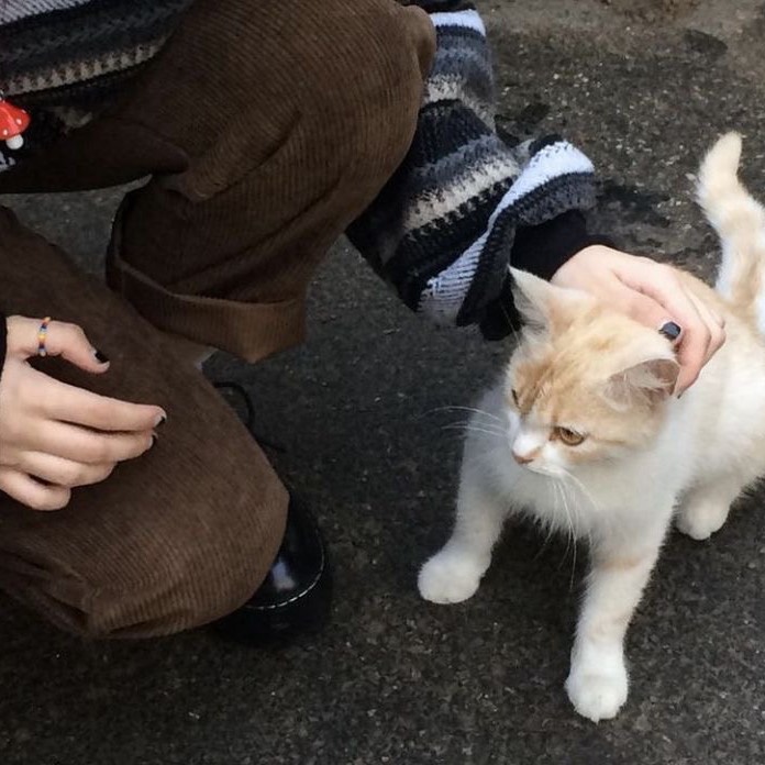 猫宮