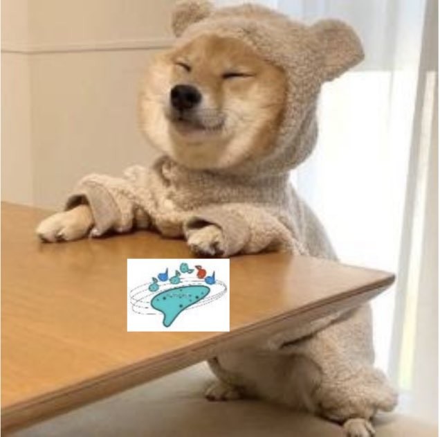 ʚ🐶ɞオカリナゴン太
