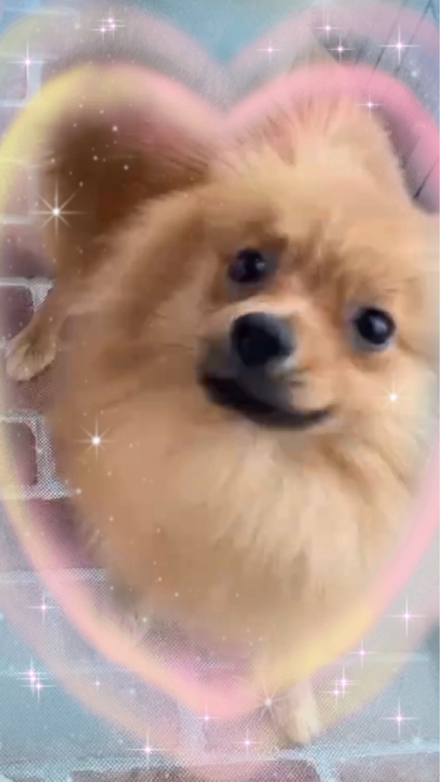 ‪颯太‪·͜· ❤︎‬