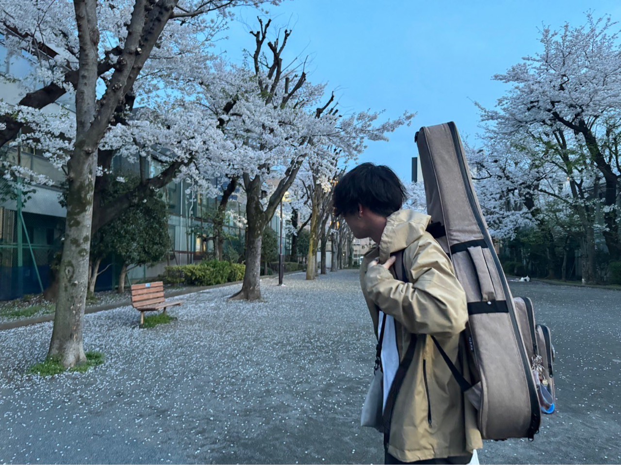 ｽ ｲ ｶ.