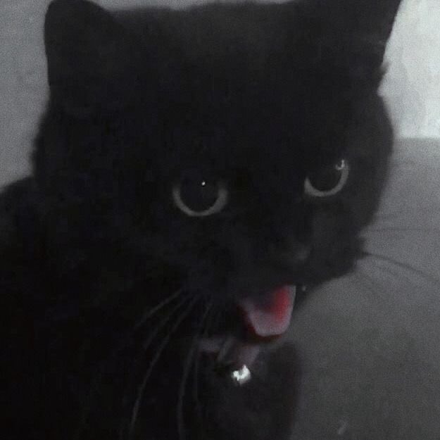𝐧𝐢𝐚