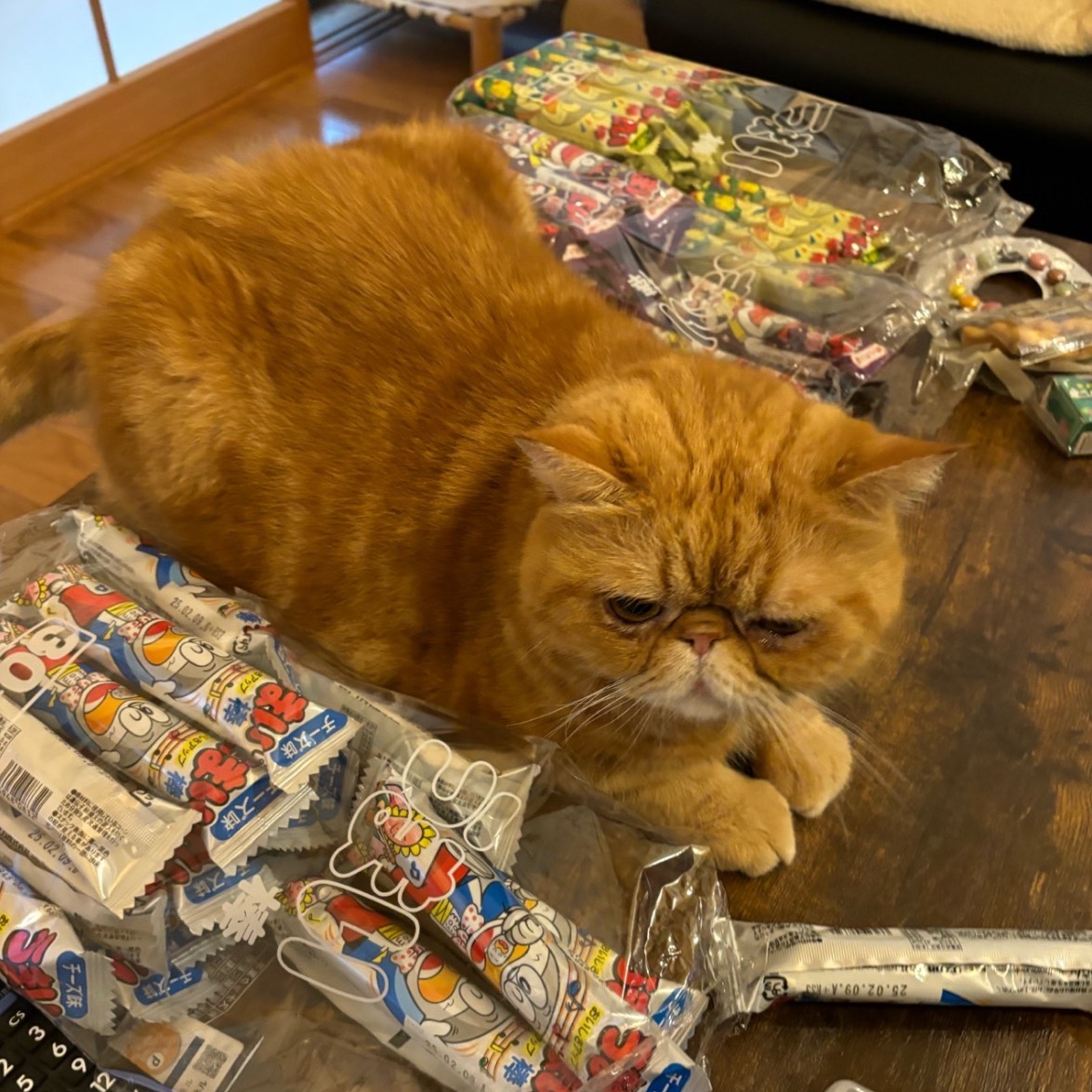 🐈🎧たかてぃー🎐☾·̩͙꙳