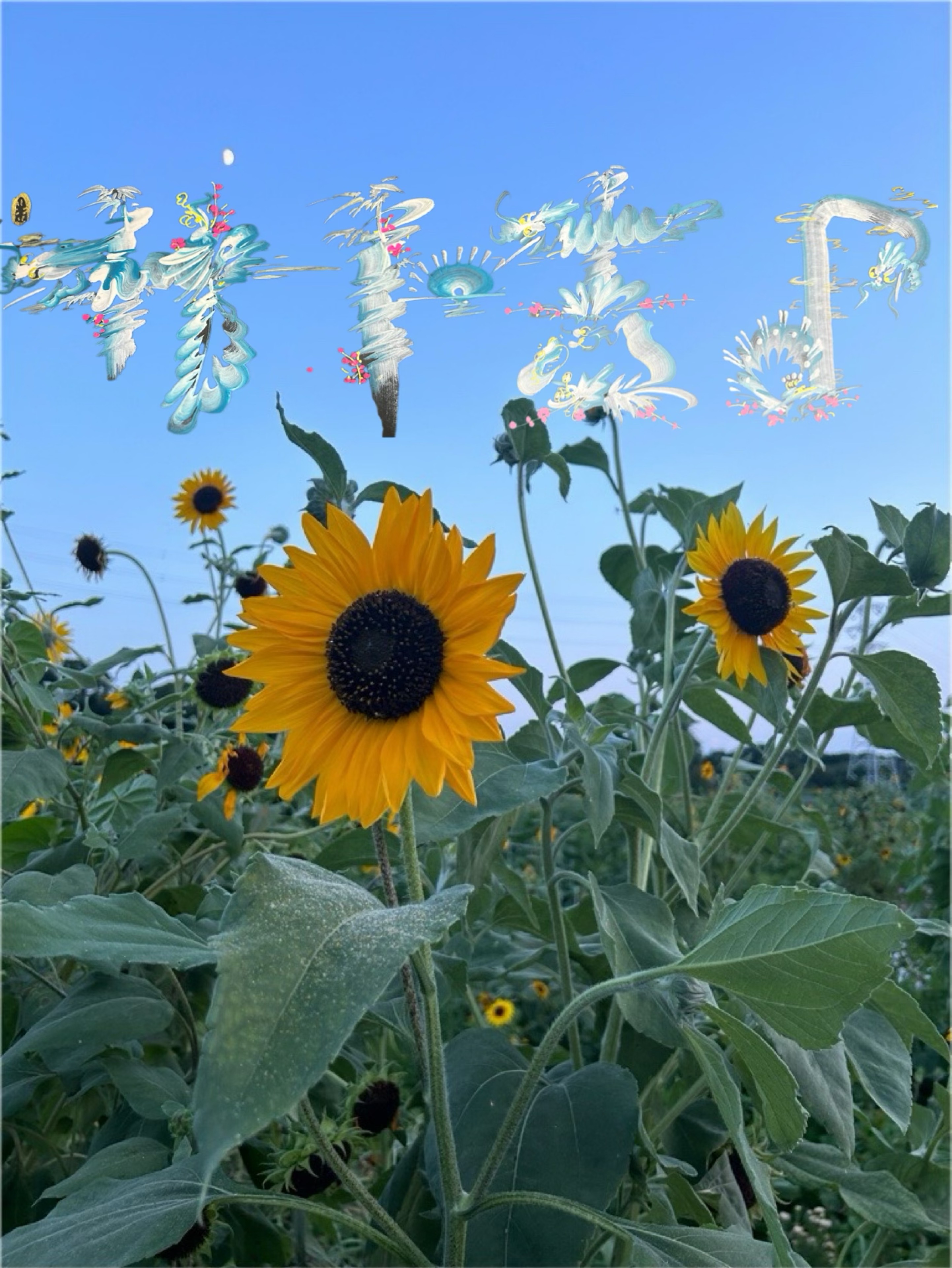 さときっちゃん