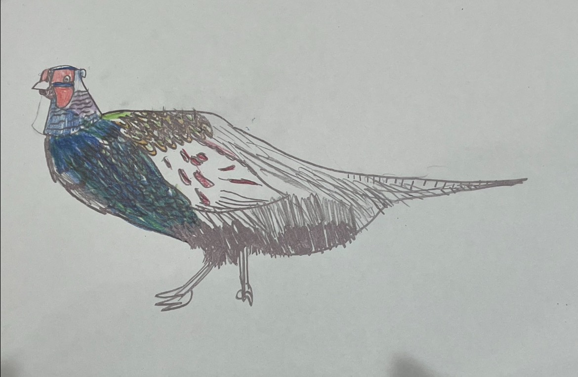 しゃみっちゃん✿.*・