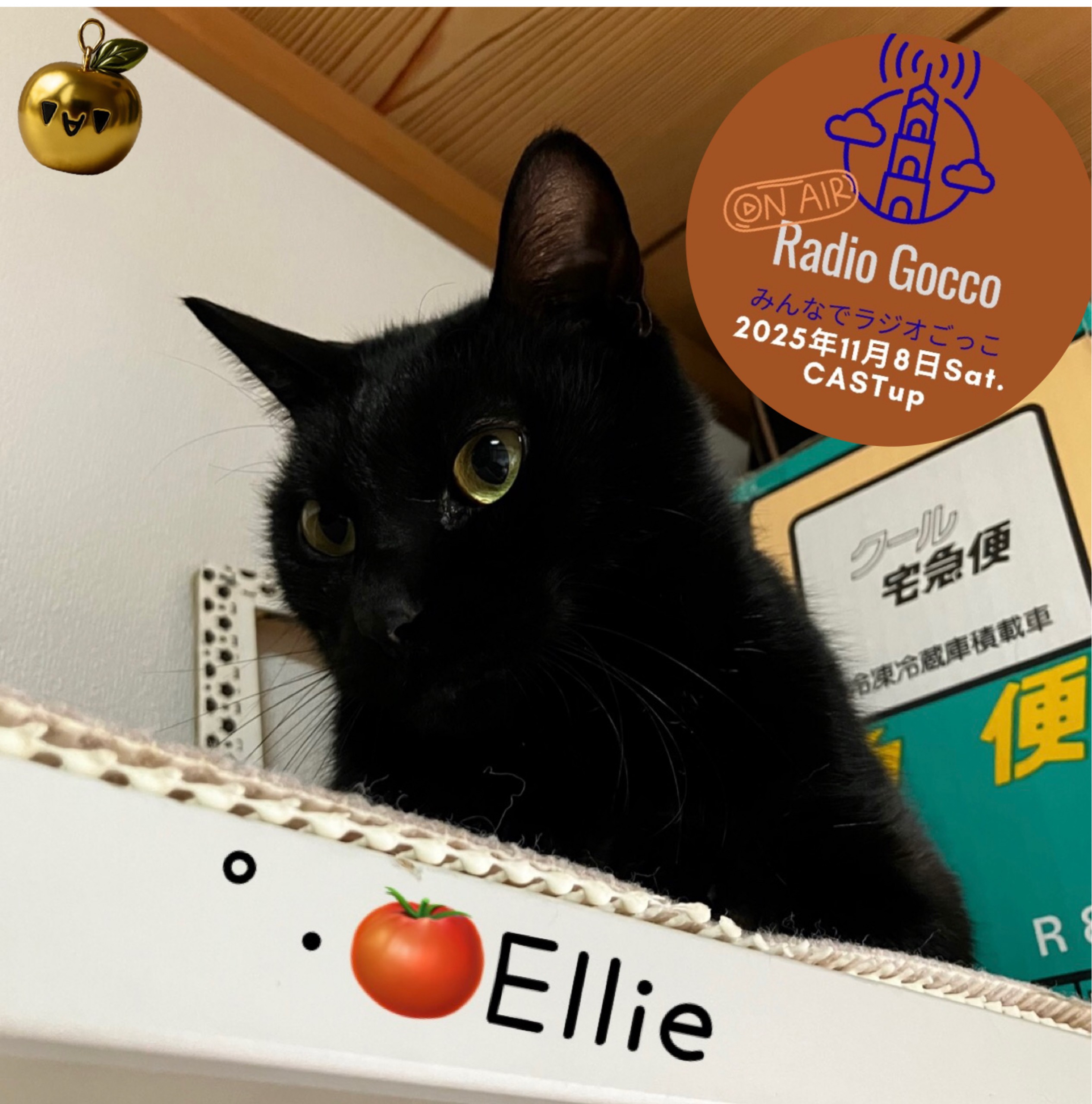 °･🍅 𝔼𝕝𝕝𝕚𝕖