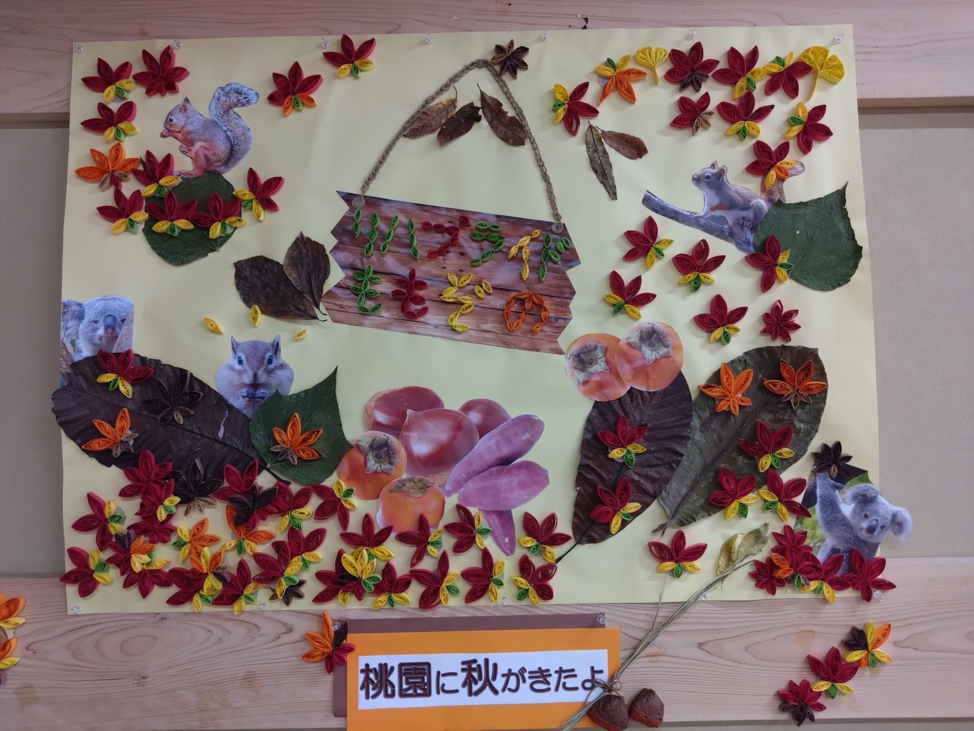 さわぴー＆しんや🪻