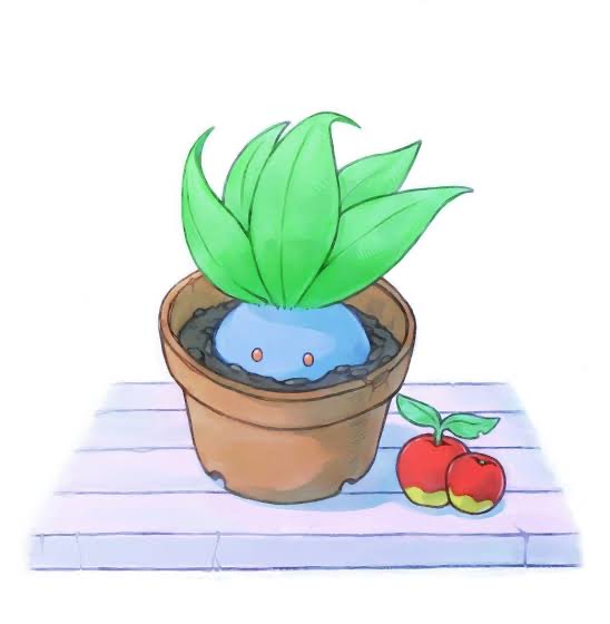 ぽん 𝓑ꫂ ၴႅၴ