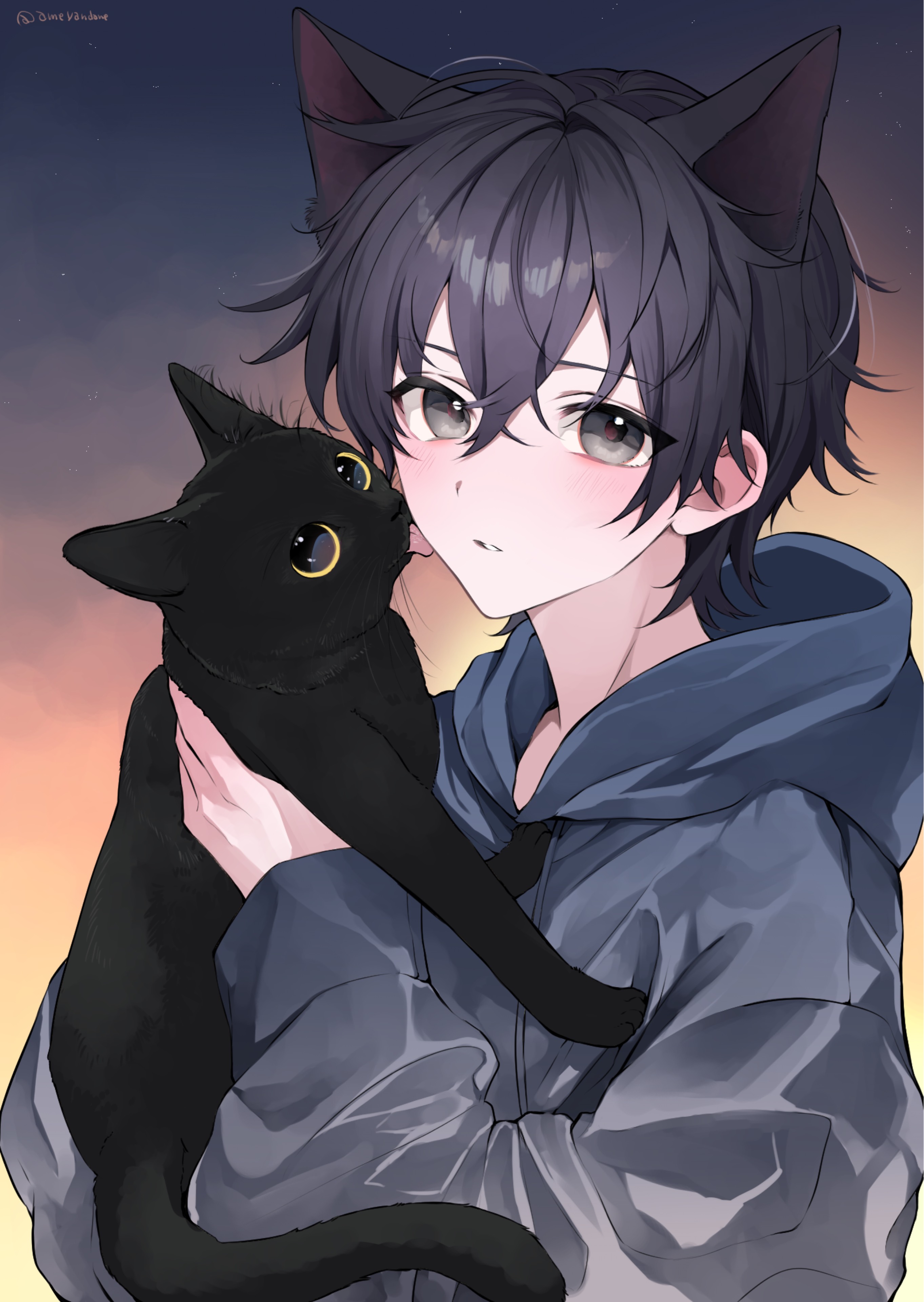 🐬‪✩⃛みににゃん