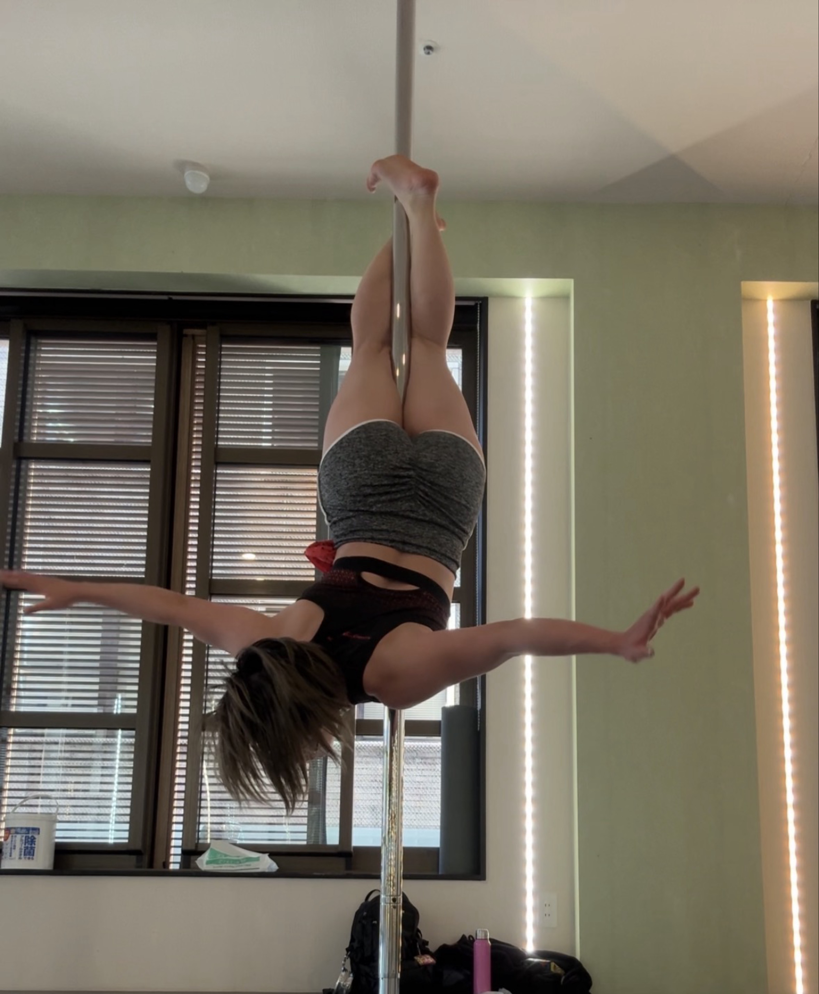 生活するカエル　　　　　　　　　　　　🦖