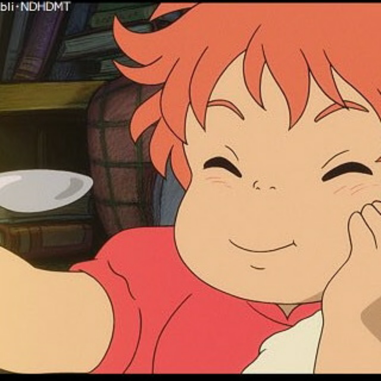 🍯崖の上のポニョ🍯