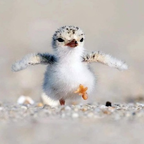 さすらいのブルースマンʚ🍋ɞ