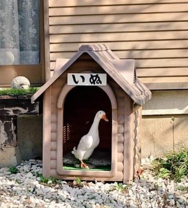 とり－ 🐥🐥