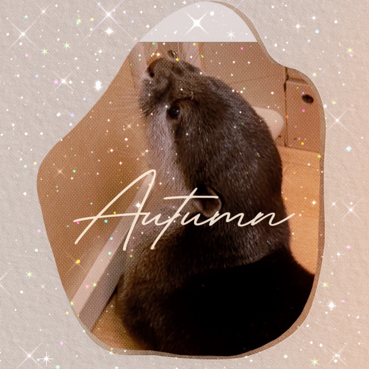 ‪Ⓜ⃞⃛୭ᐝMako‪🌱‬☺︎ 🐹ིྀ୭