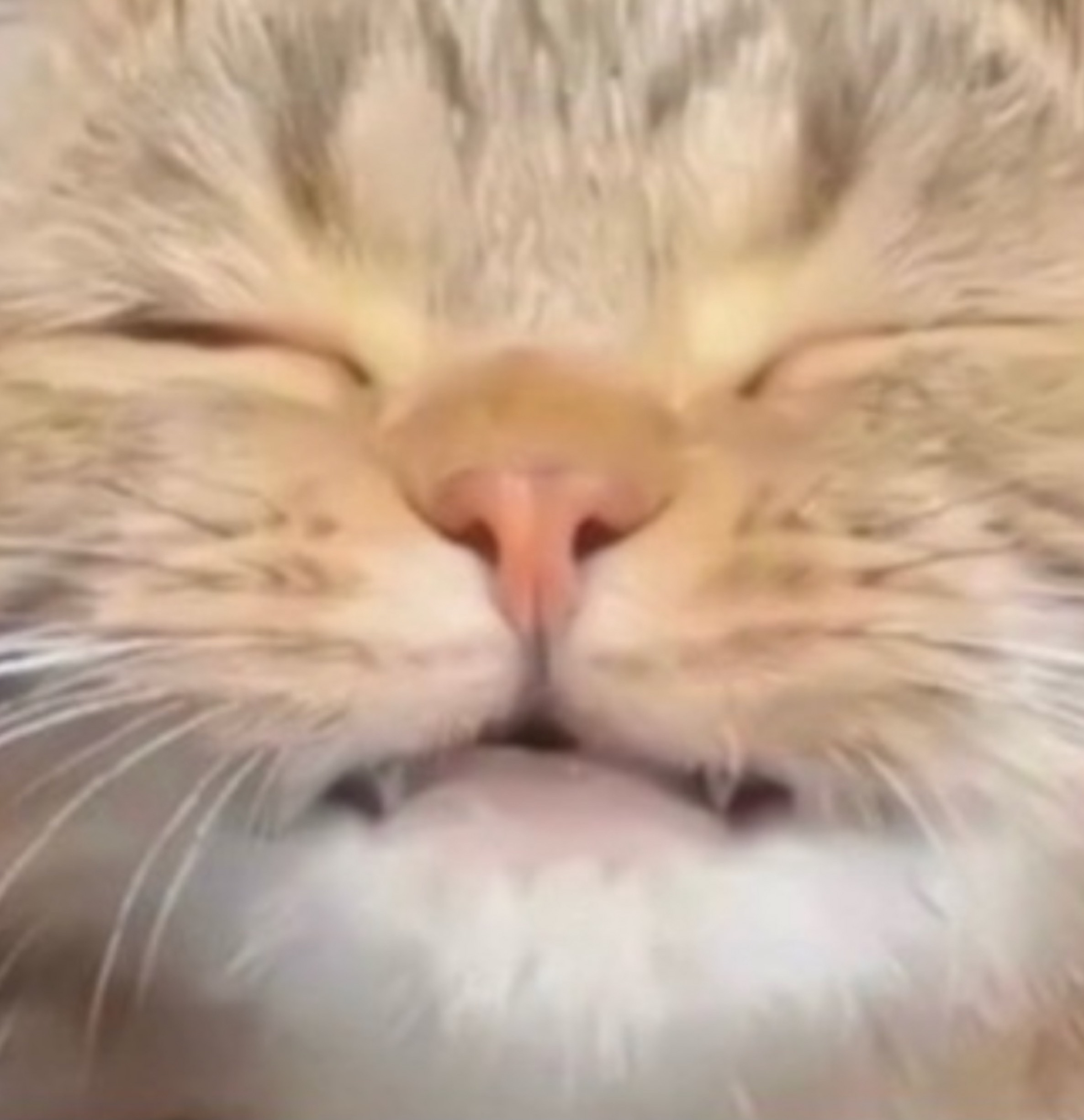 碧@うがぁㅤㅤㅤㅤㅤㅤㅤㅤㅤㅤㅤㅤㅤ 。