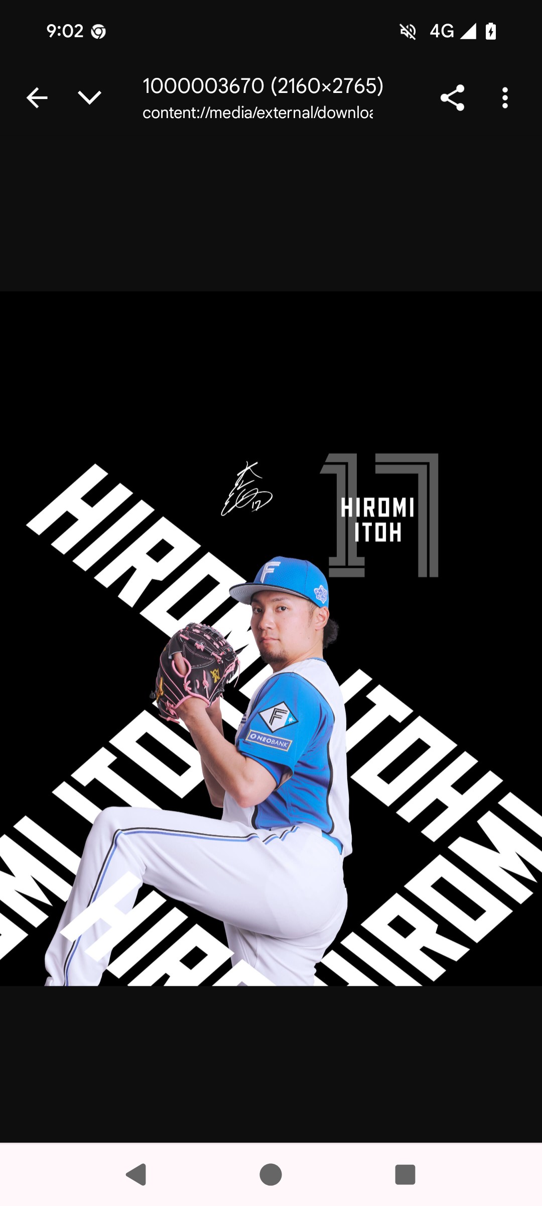 トラちゃん(ゴーちゃん)