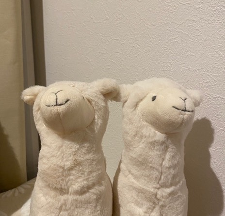 🦙とい