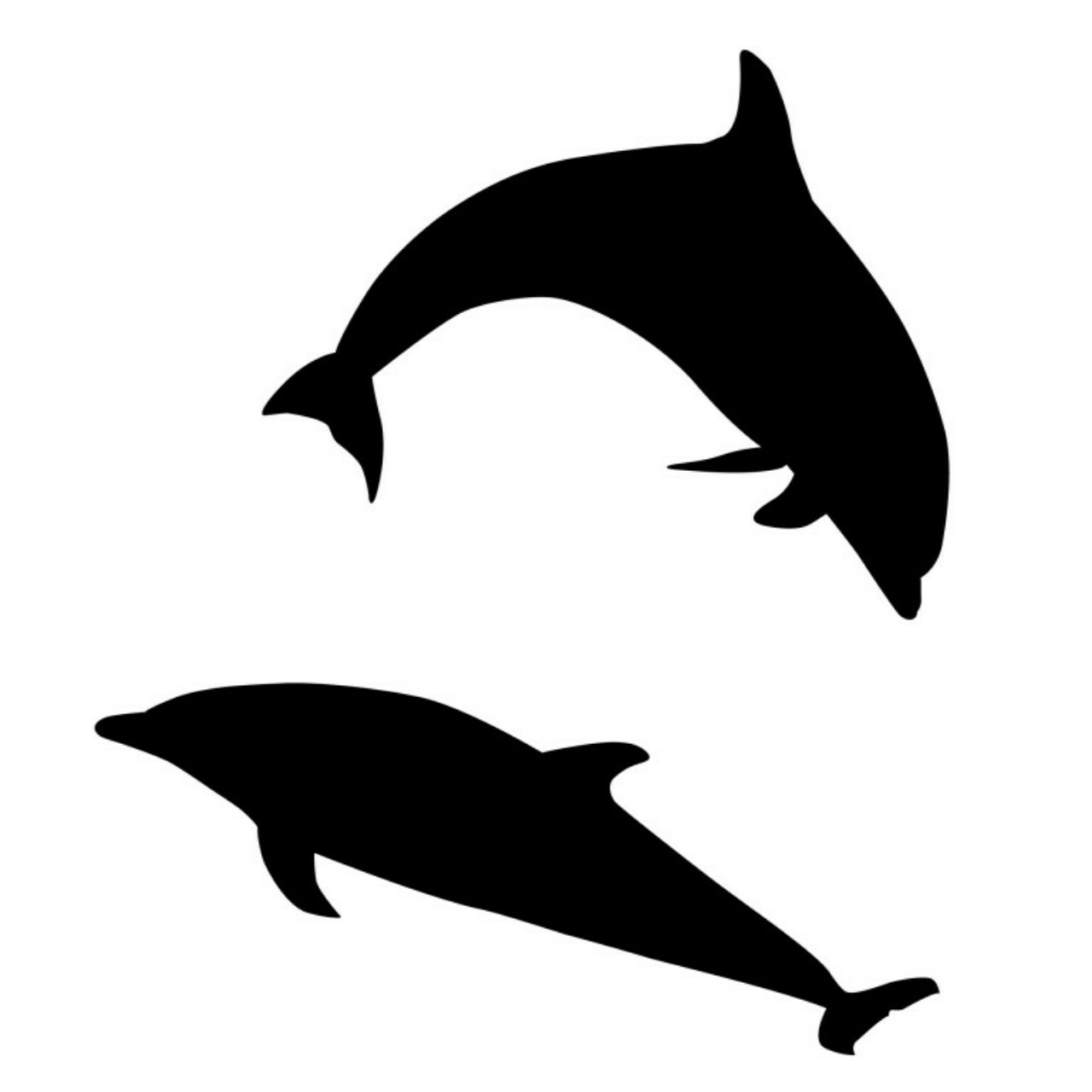 🐻🎶🐬いるか🧂🦘