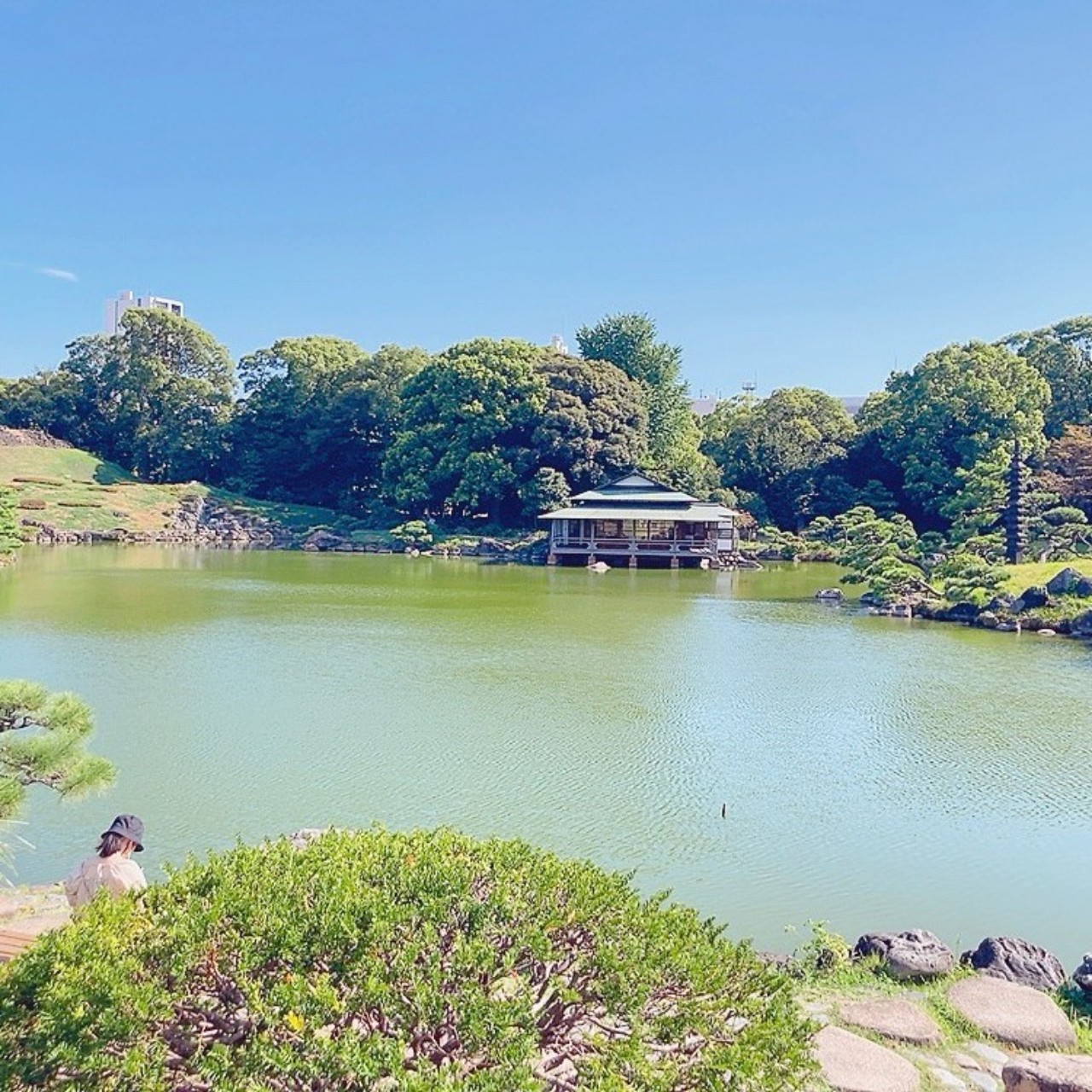 ぼん