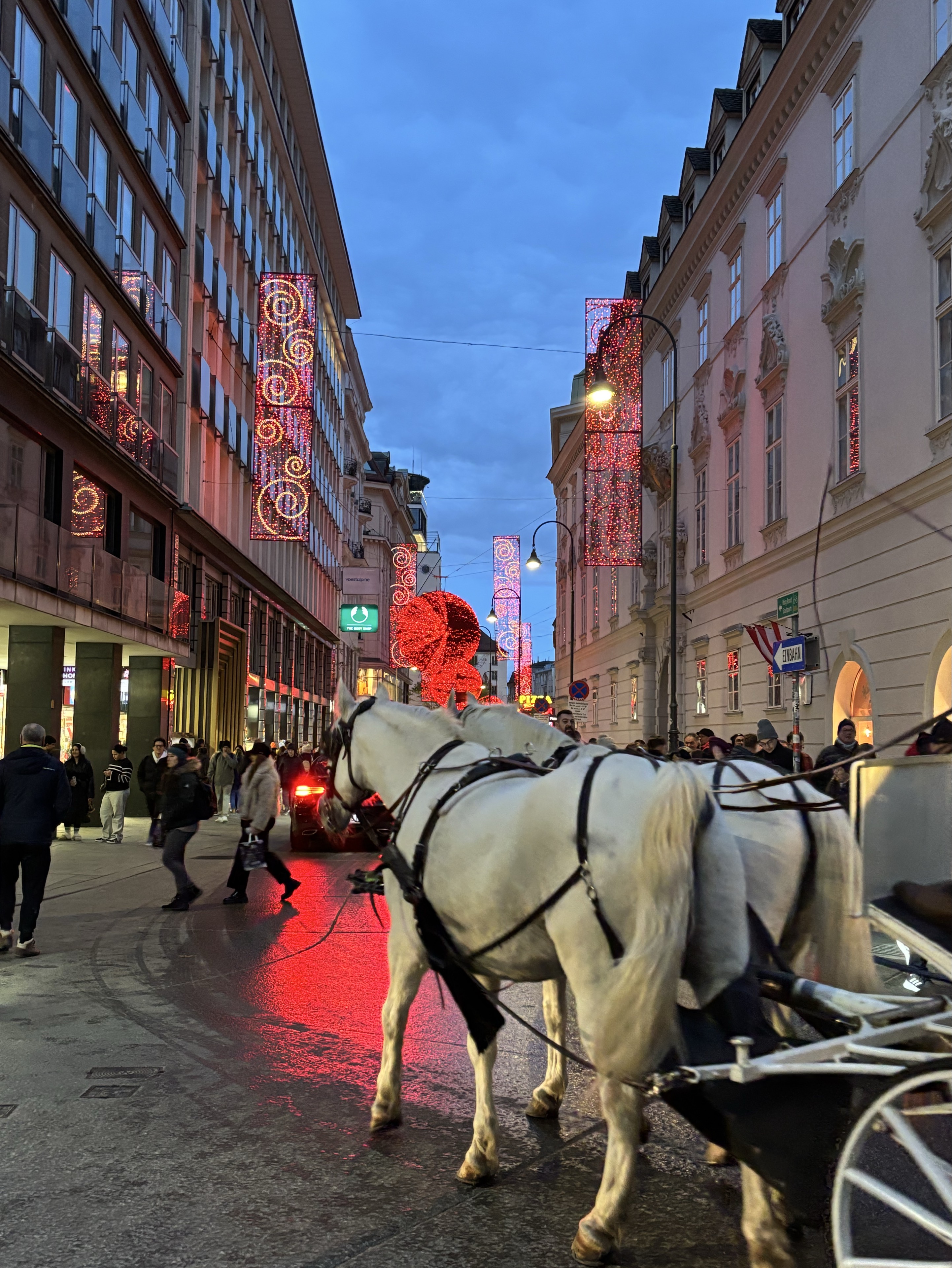 モモタロスの皮を被ったシマタロス