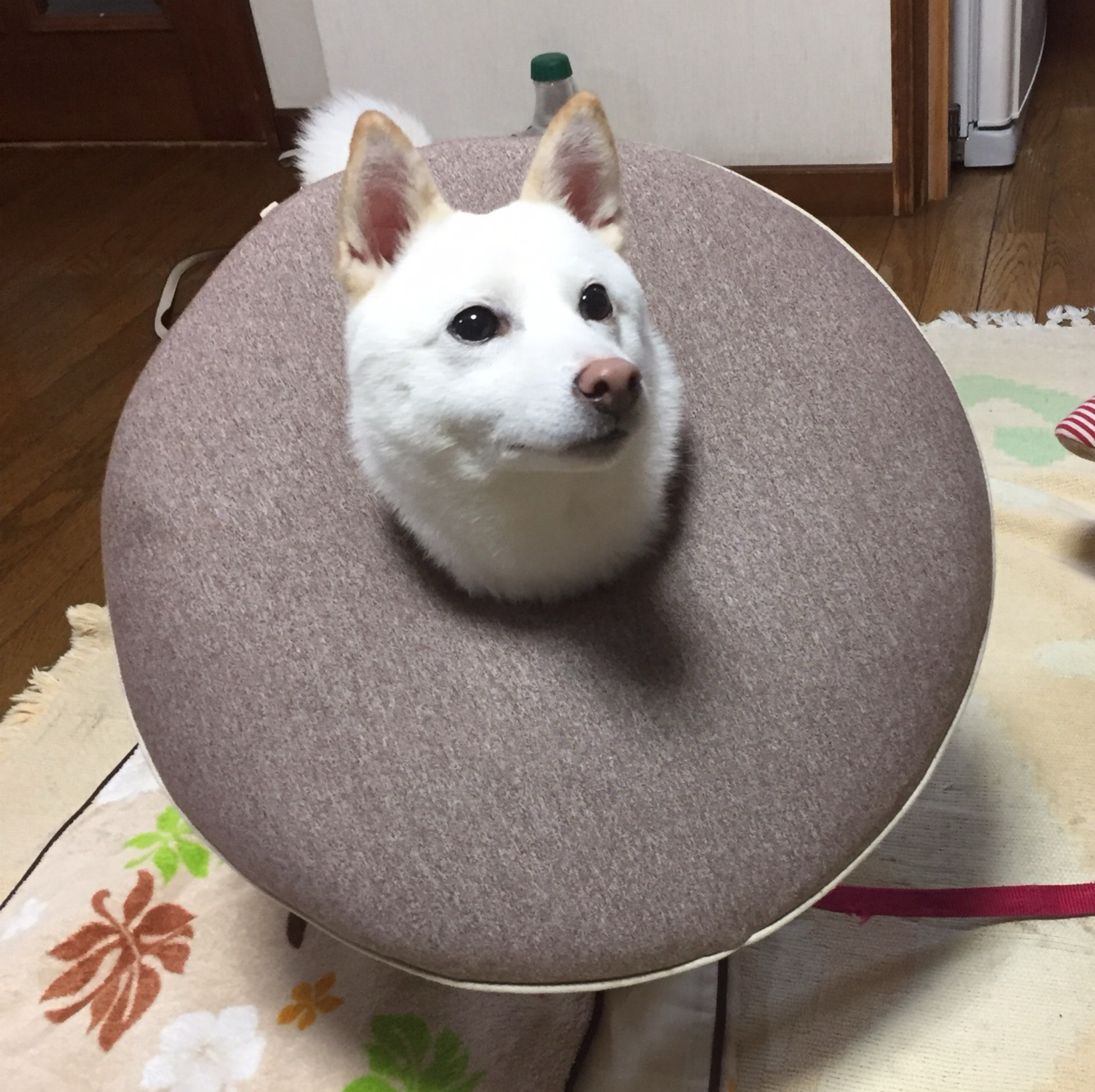 hiro店長