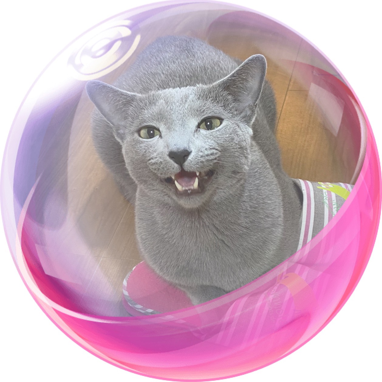 ひ な の ﾇｵｰ