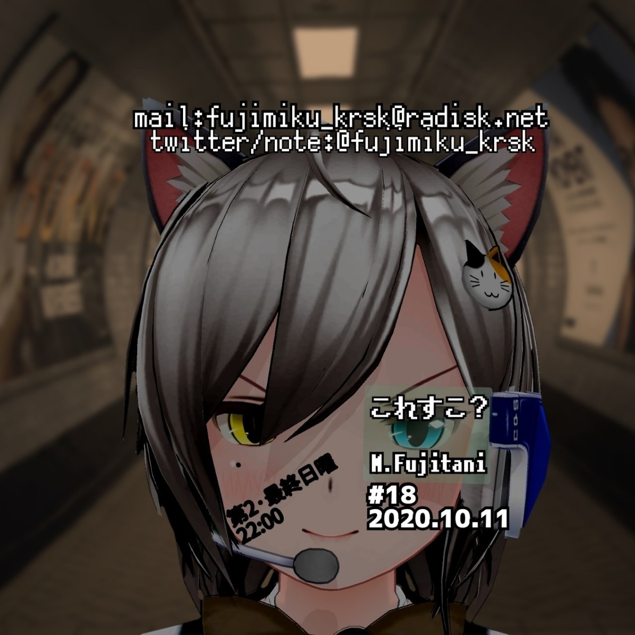 ふじたにみくの｢これすこ？｣