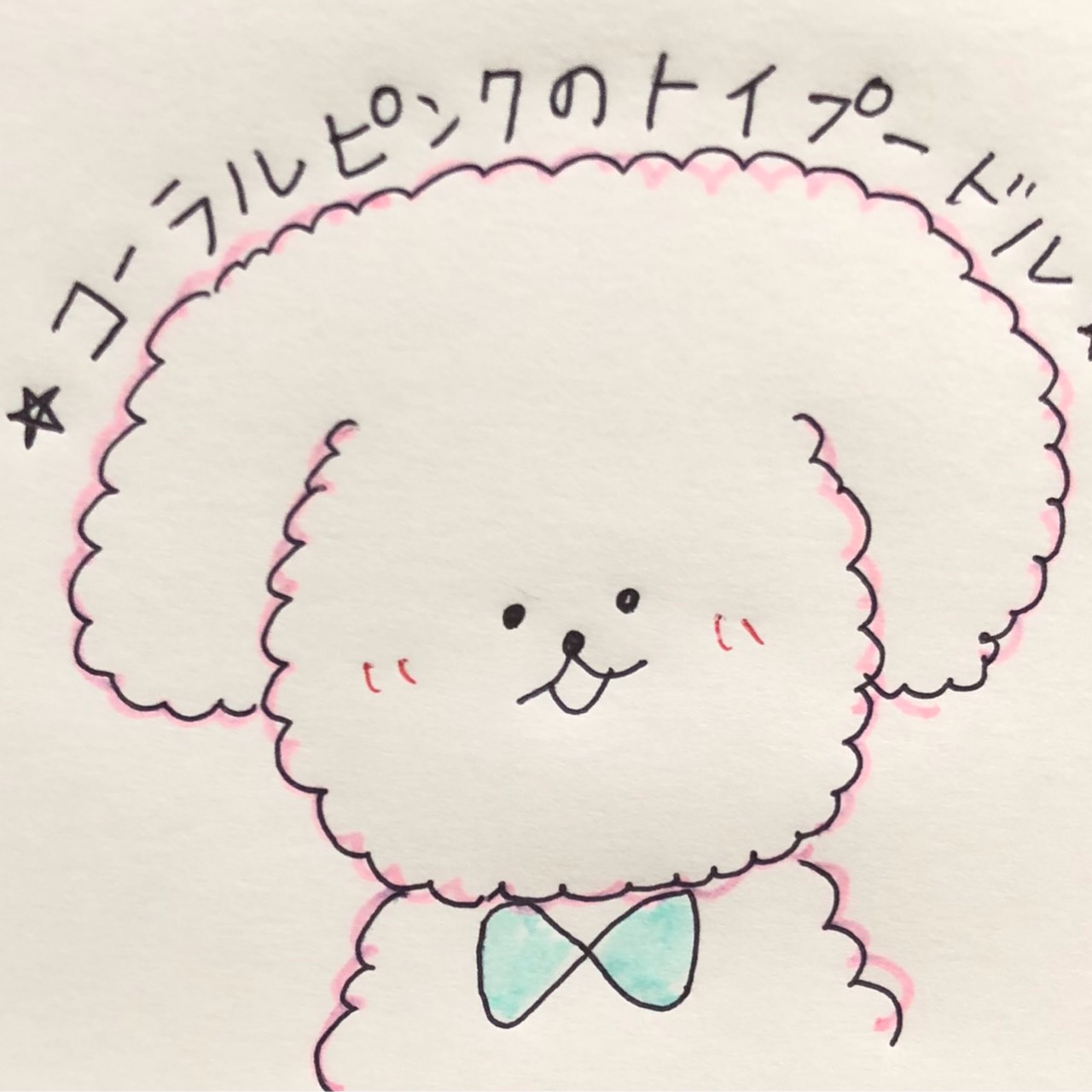 コーラルピンクのトイプードル