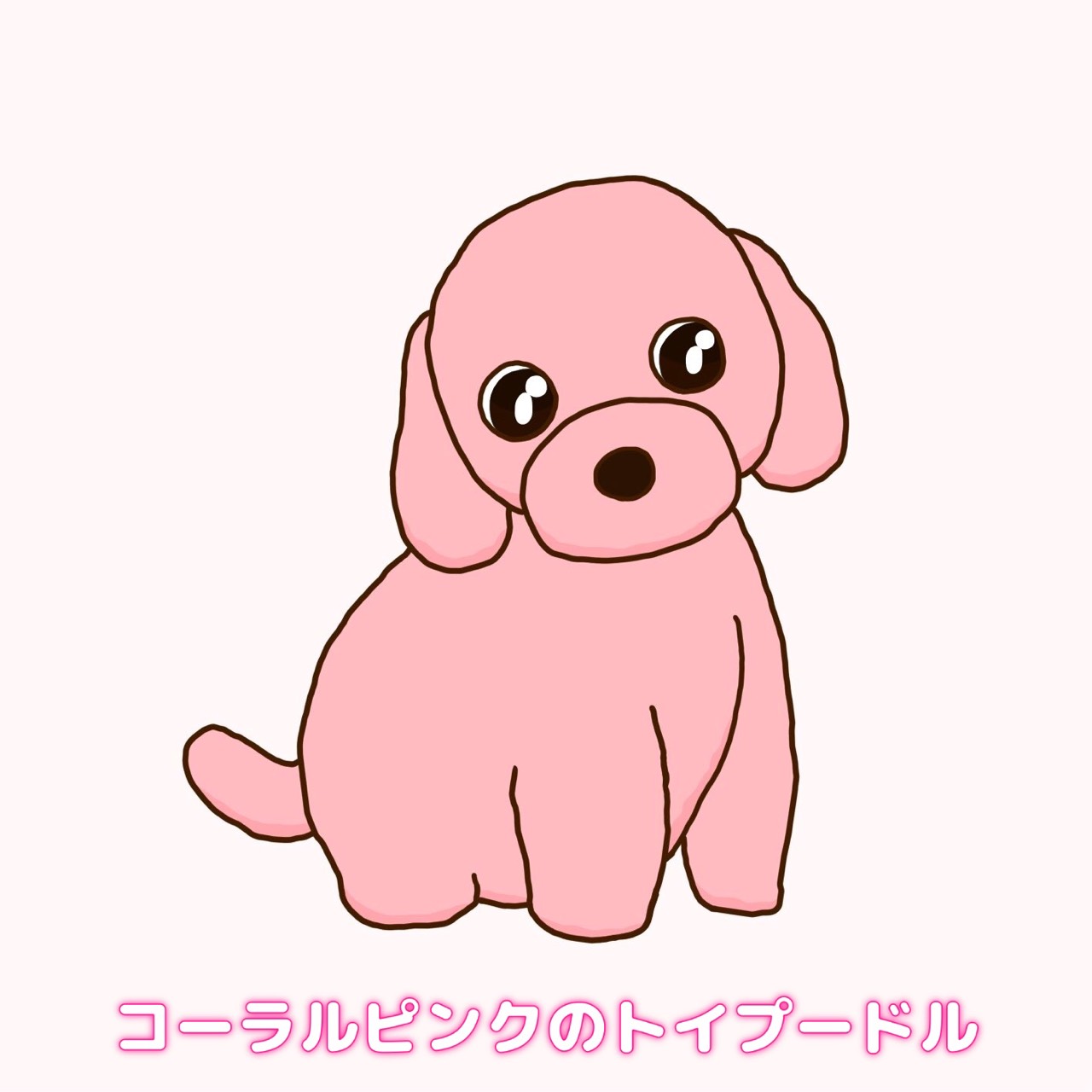 コーラルピンクのトイプードル