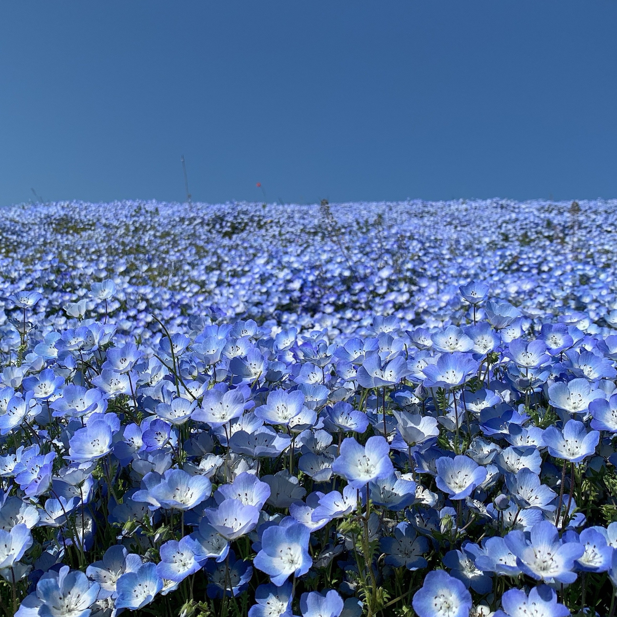 空