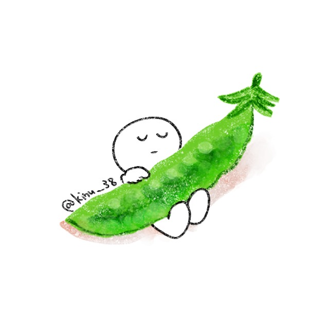 絹
