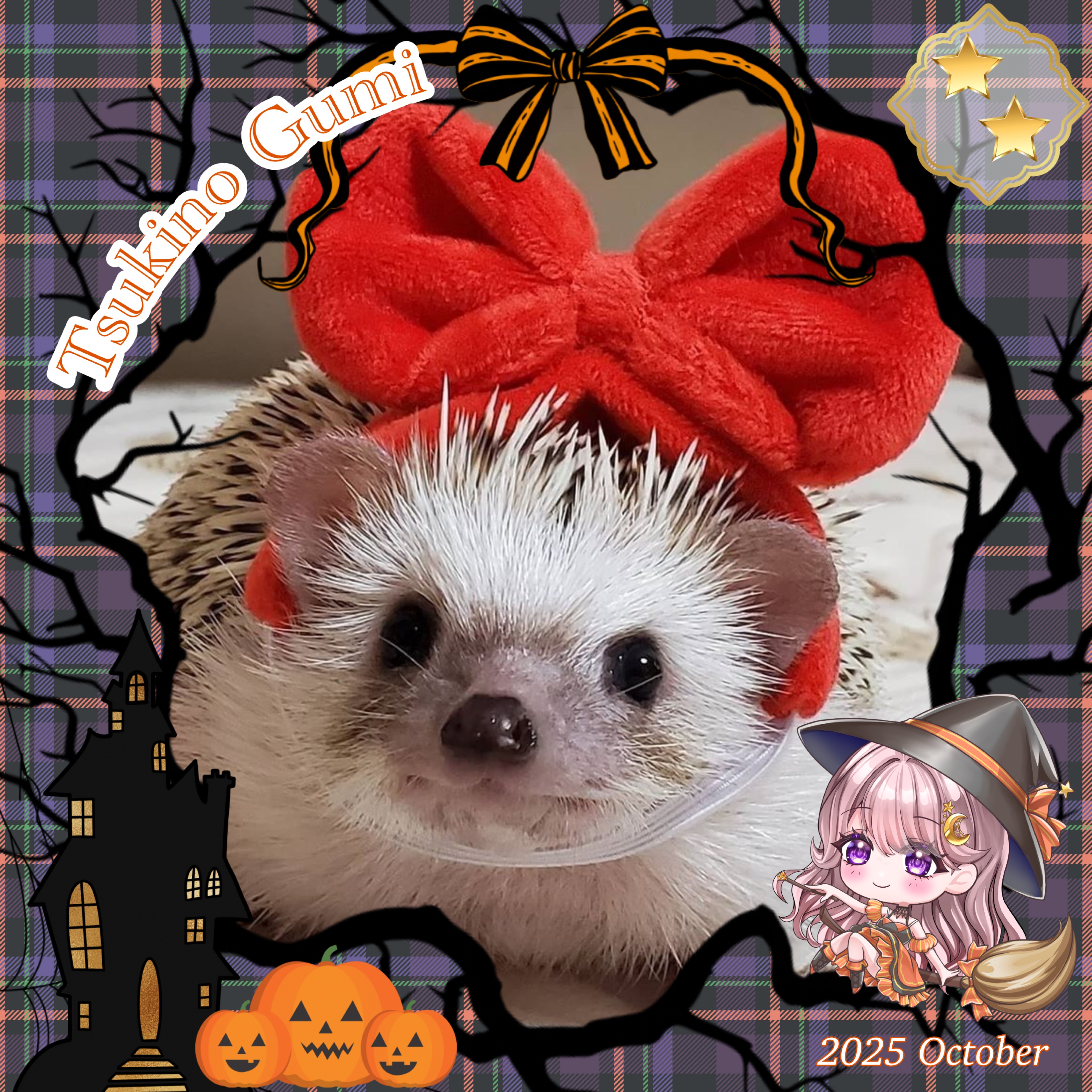 レジェンドさき*･ﾟ