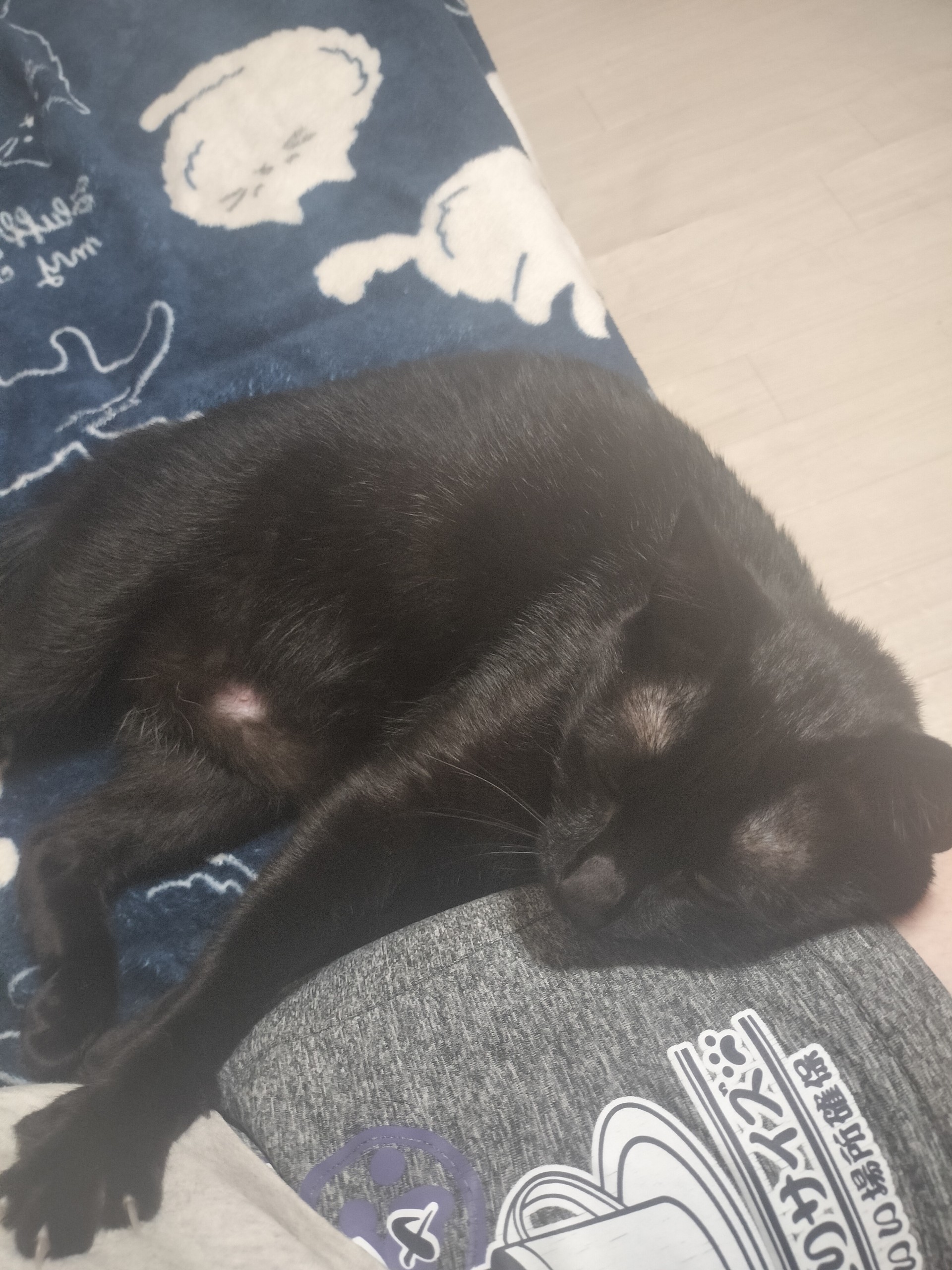 ❥z愛羅　柚紀❥ɪ@おでんやめました