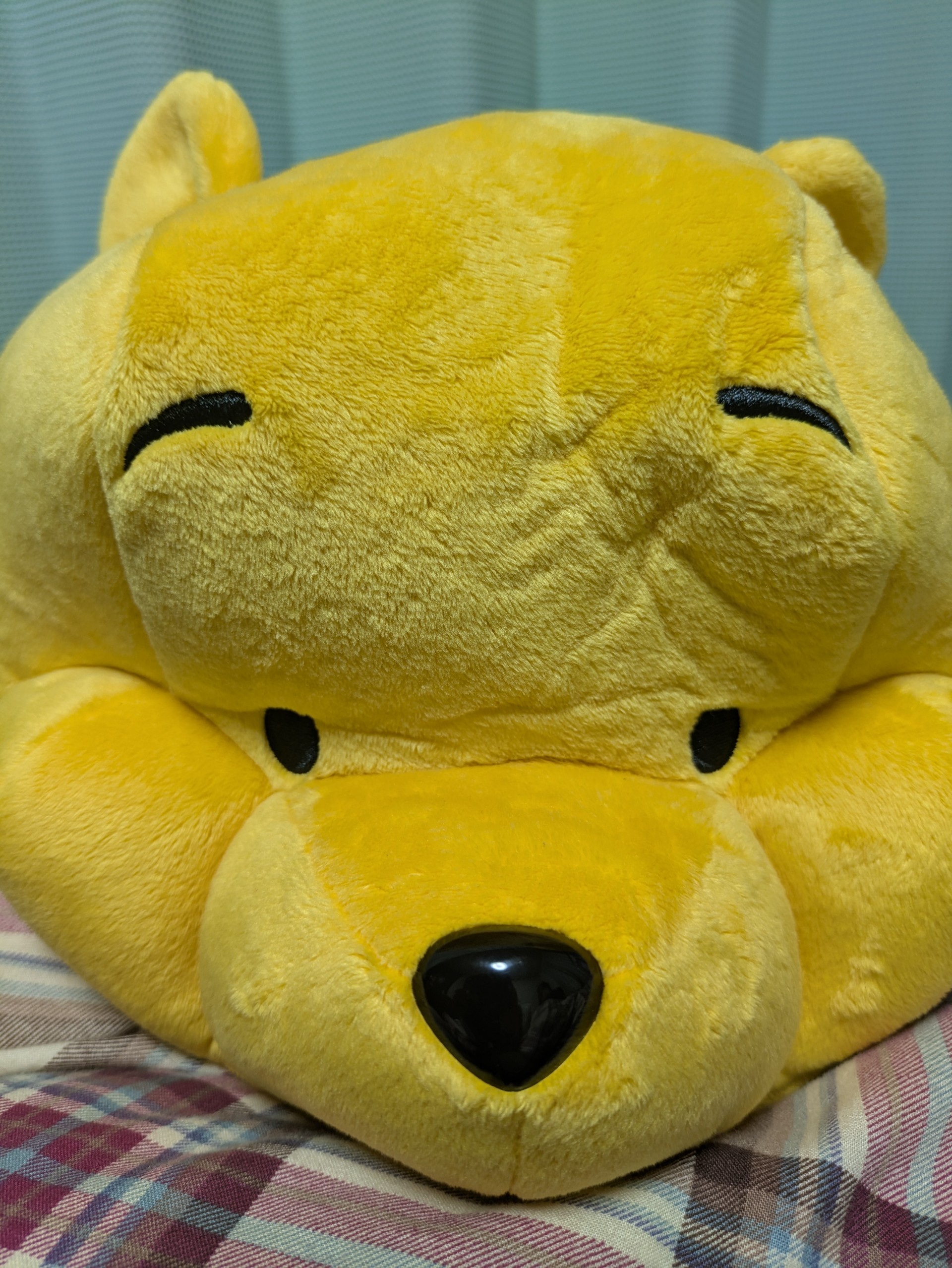 TARAKO🍫 ☊_(`･ω･´)