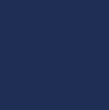 Navy.