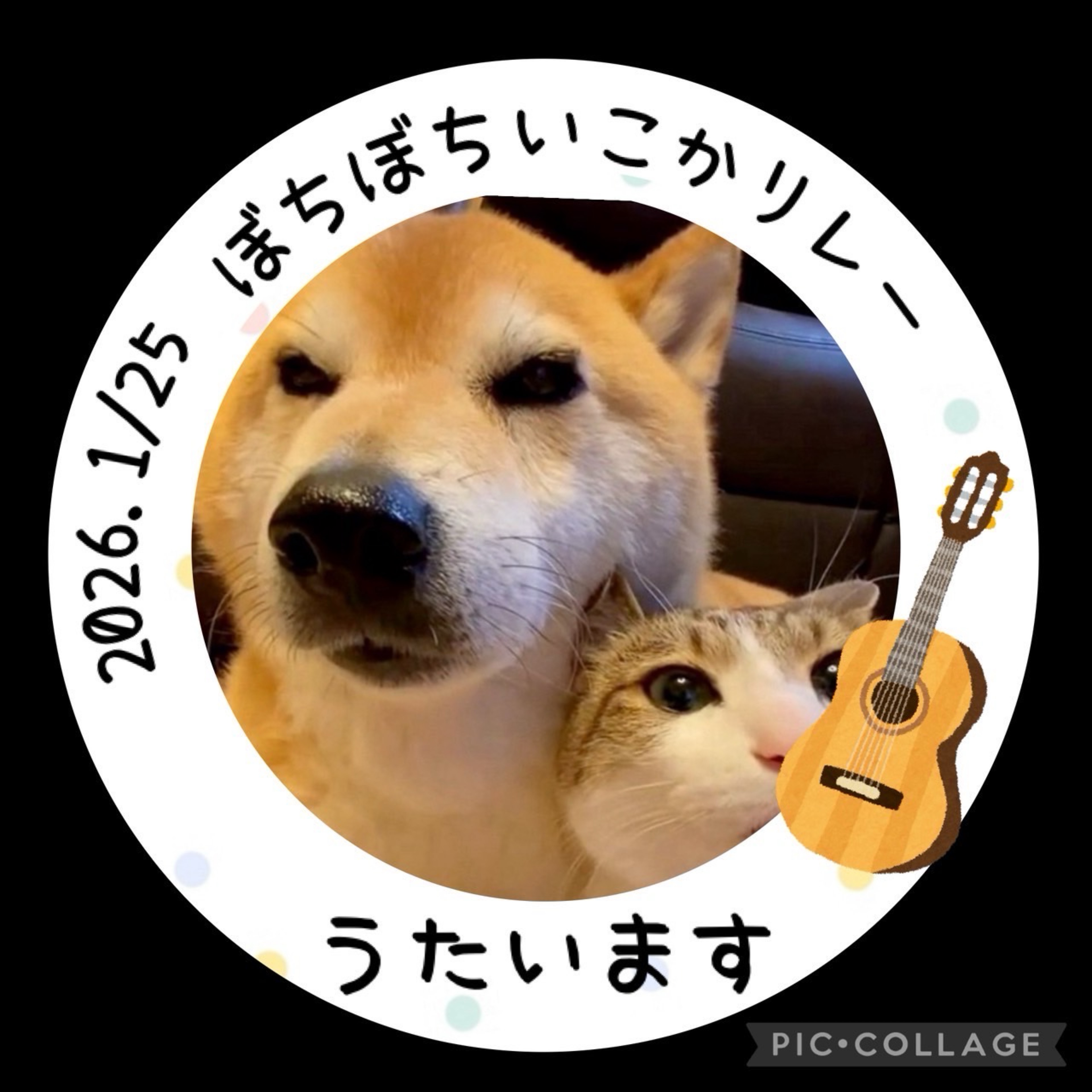 たこ焼きちゃん(・◎・)ｼﾞｭｰ