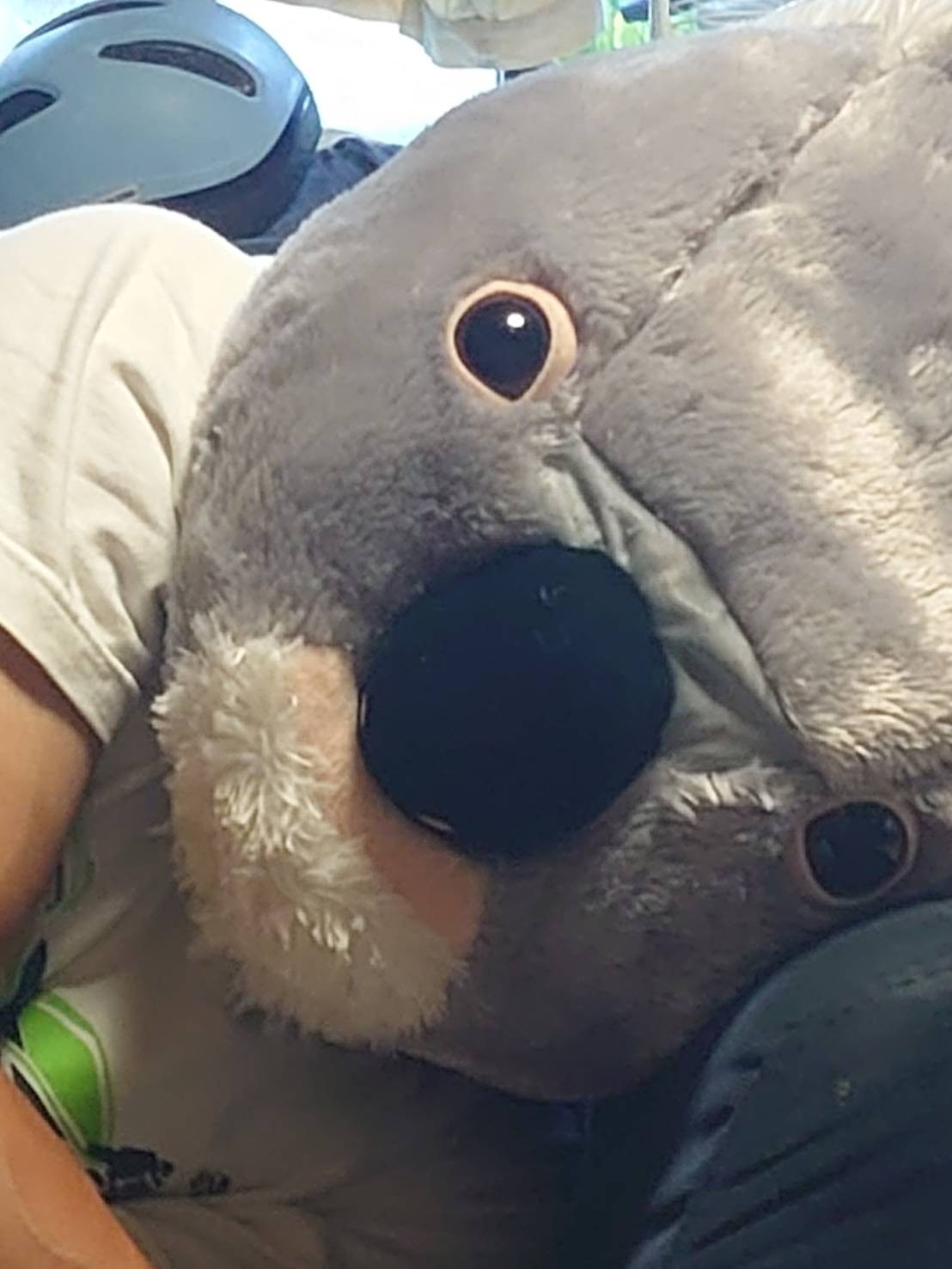 ðŠ¥ãŸãªãšðžð