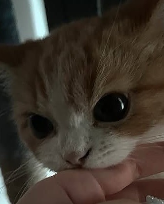 ☽
