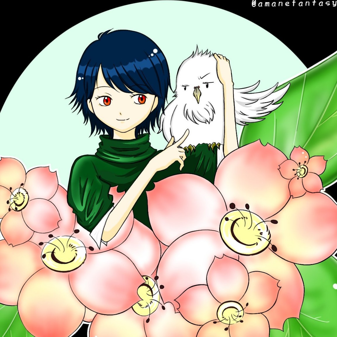 弥-amane-