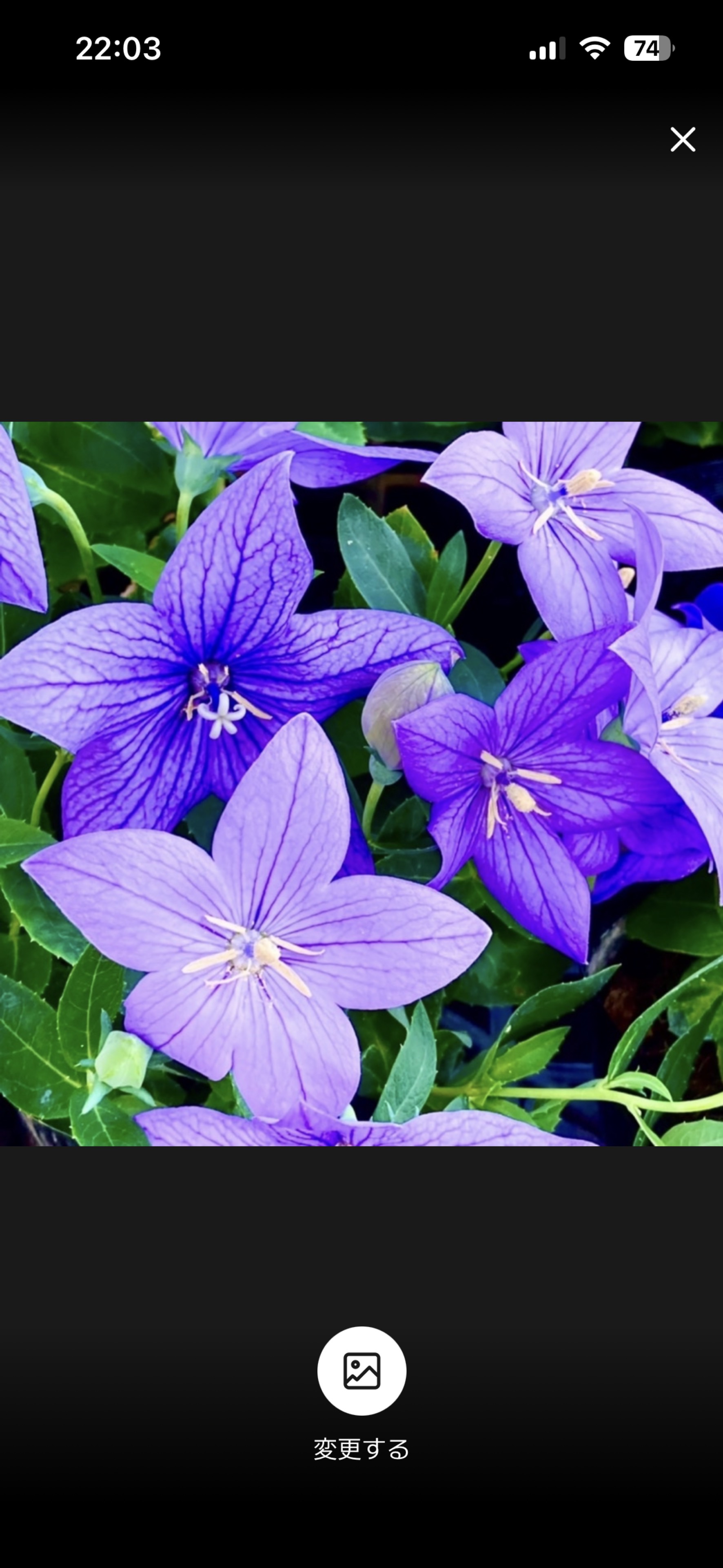 すけ♀🐣(まだ初心者)