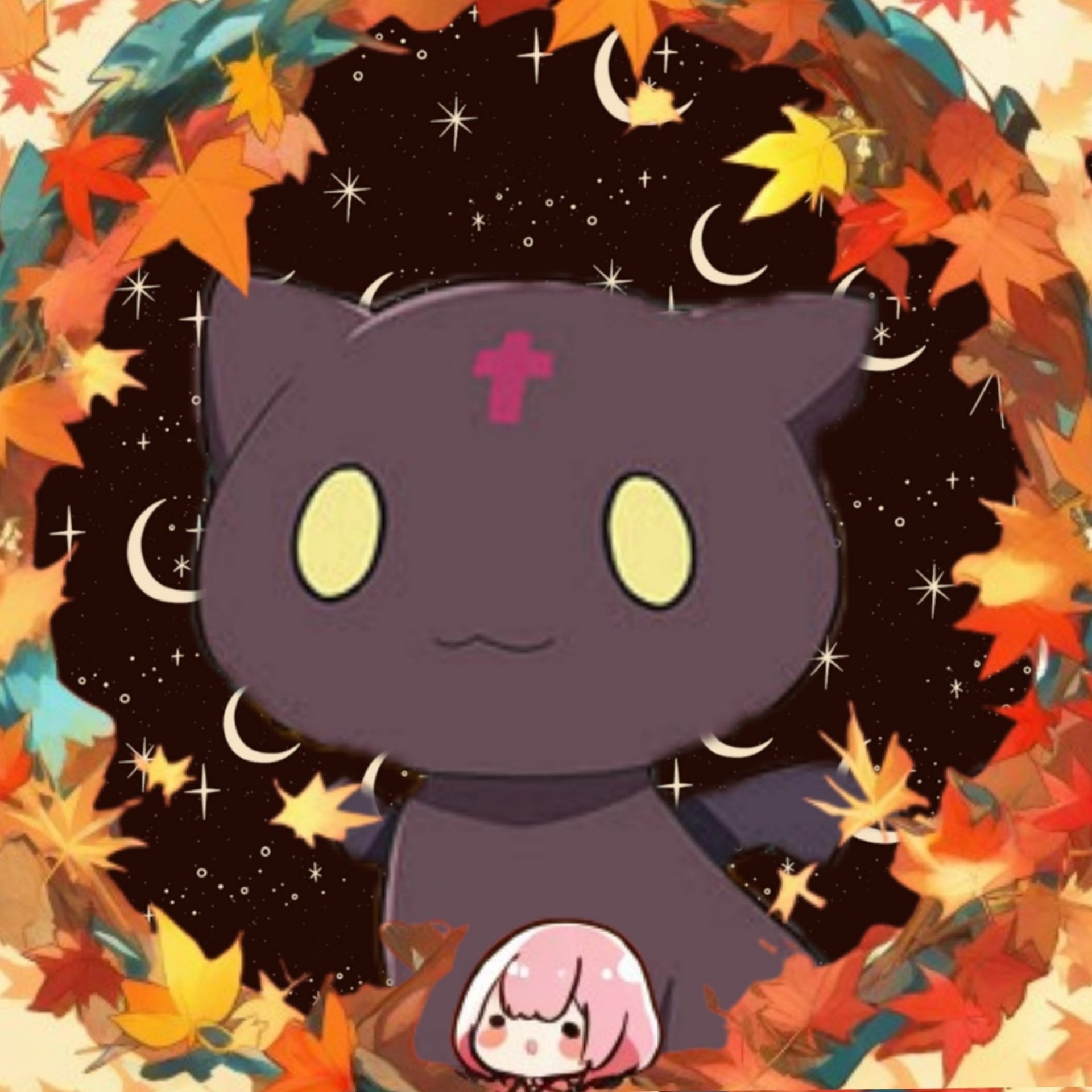 🐈‍⬛ちょむ‪‪‪