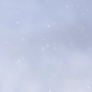 ❄︎.*