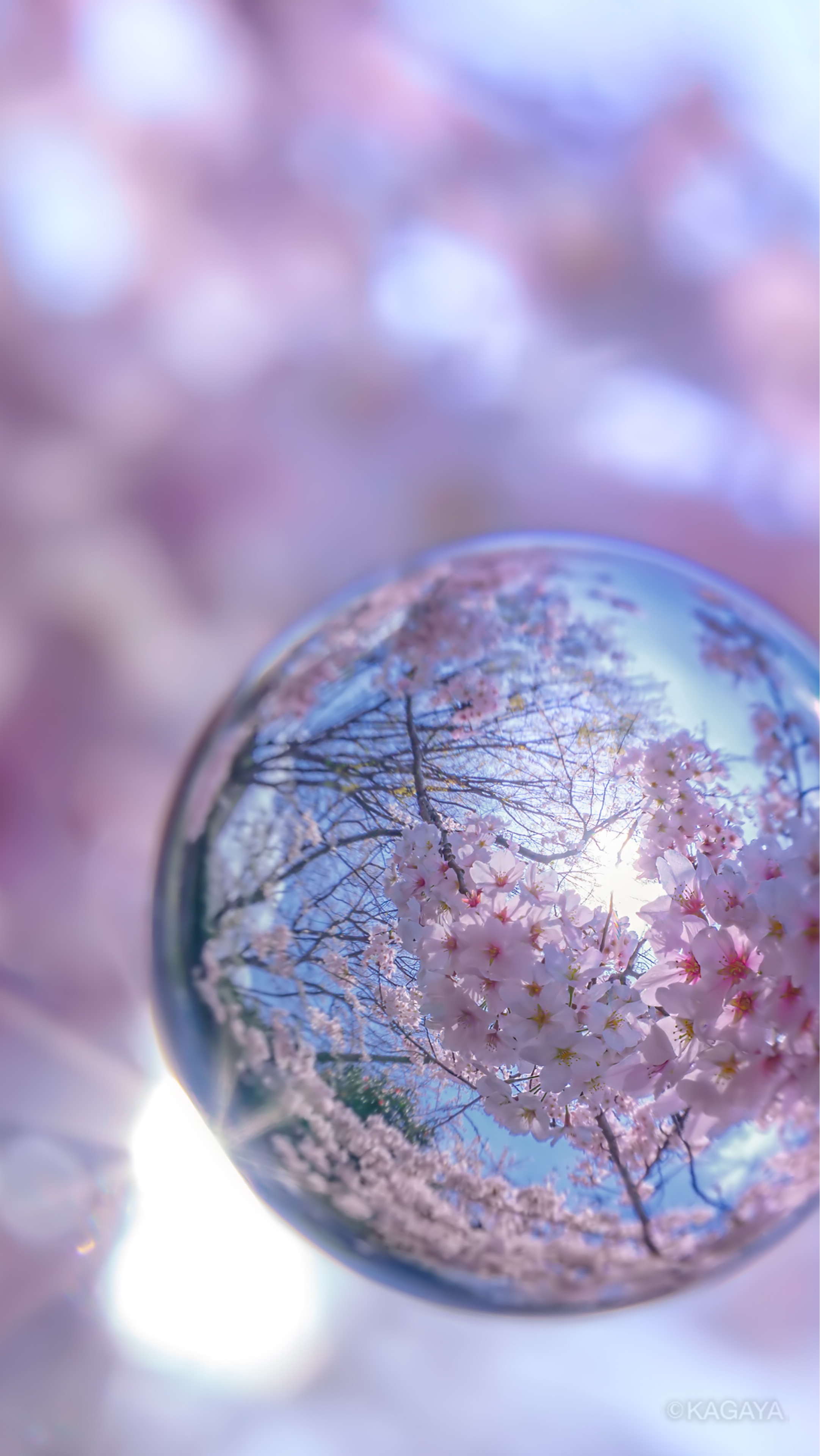 ₂₅₁はる²⁵¹