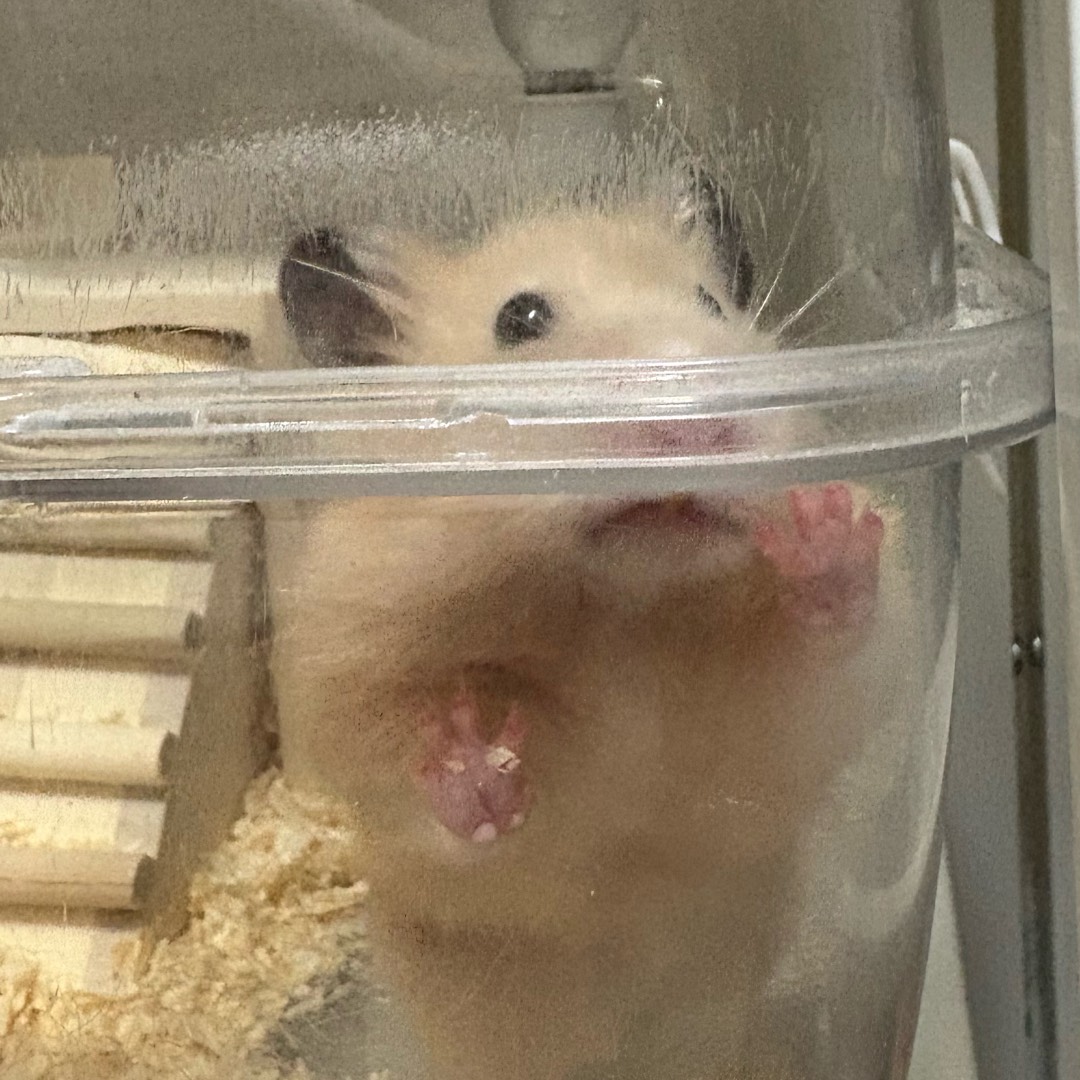 さんしょーうお｡🍞