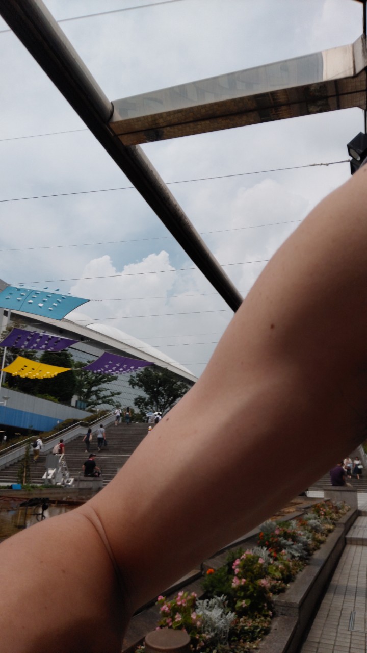 🧠今夜が最後のちゃうちゅ～る