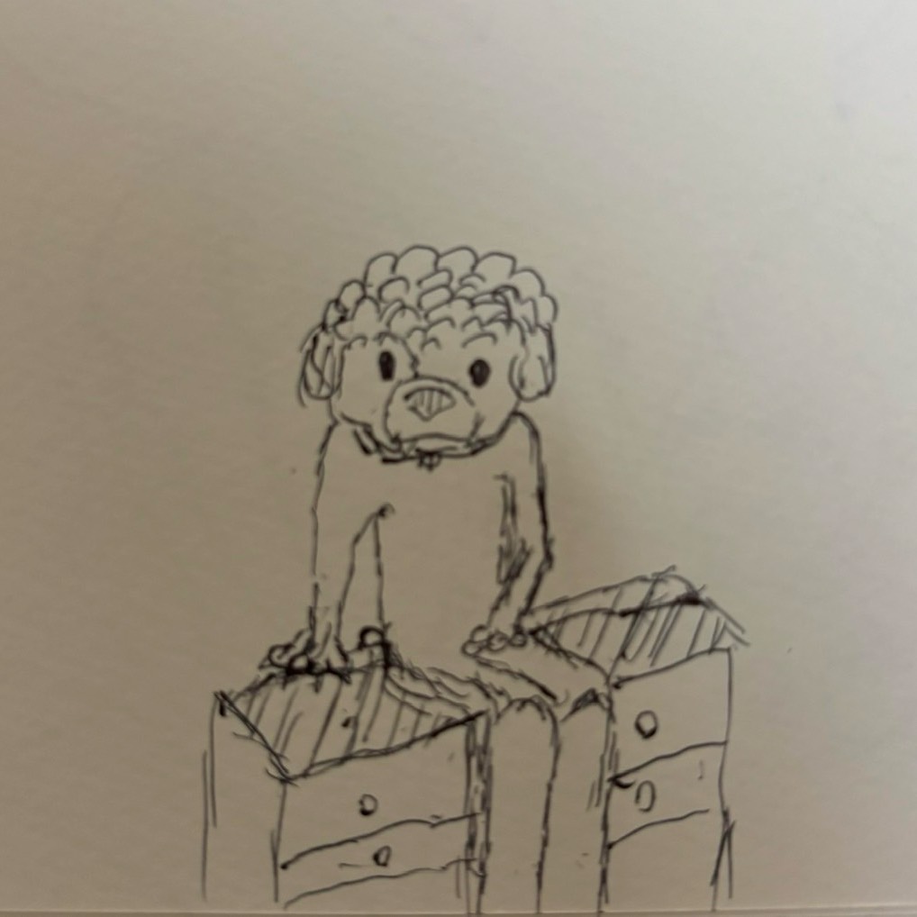 禦侮、(ぎょぶ)🌳🚢🥢☕️ 📸🌞📚